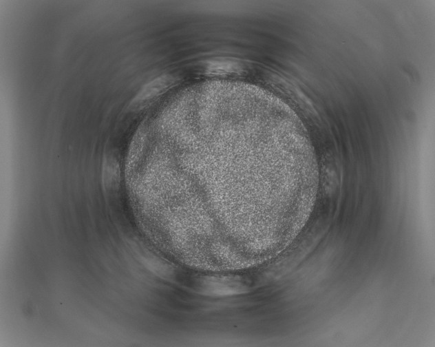 X0000111780375200908201115