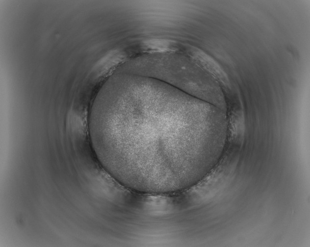 X0000111780376200908201115