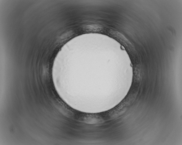 X0000111780377200908201115