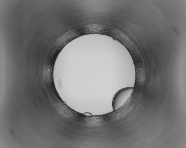 X0000111780378200908201115