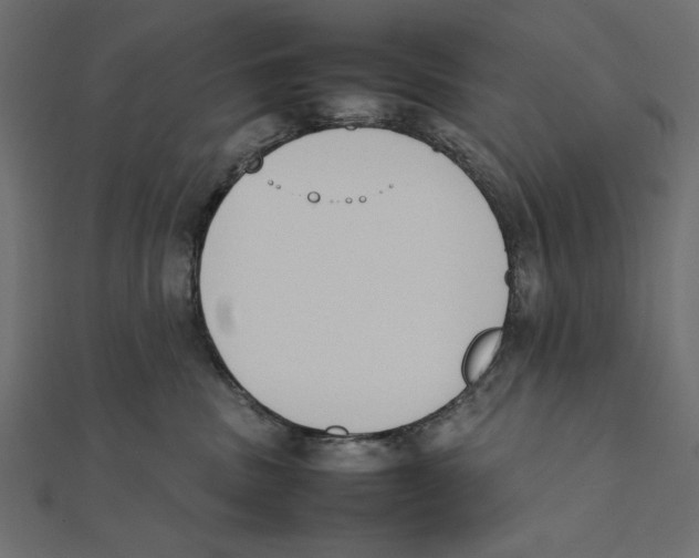 X0000111780379200908201115