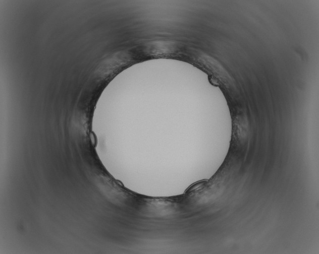 X0000111780380200908201115