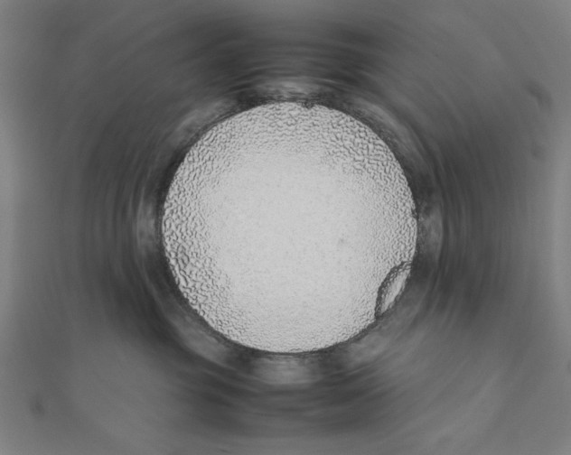 X0000111780381200908201115