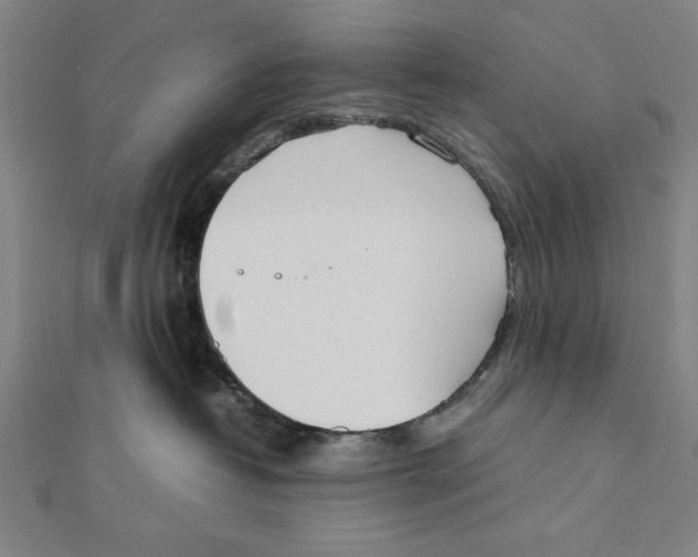X0000111780382200908201115