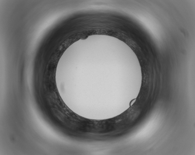X0000111780383200908201115