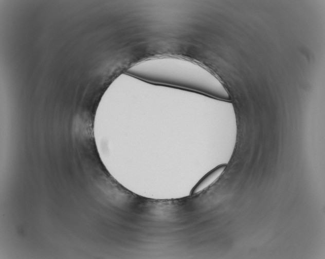 X0000111780384200908201115