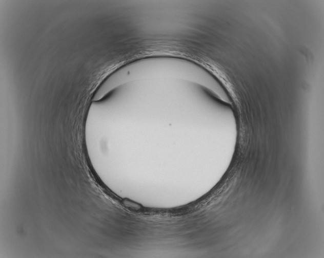 X0000111780385200908201114