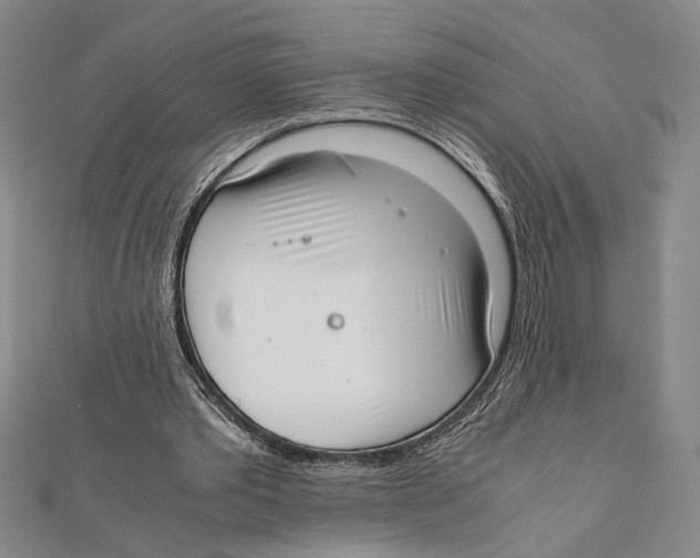 X0000111780389200908201114