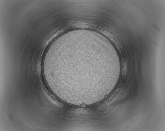 X0000111780390200908201114