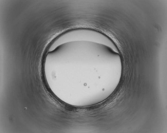 X0000111780391200908201114