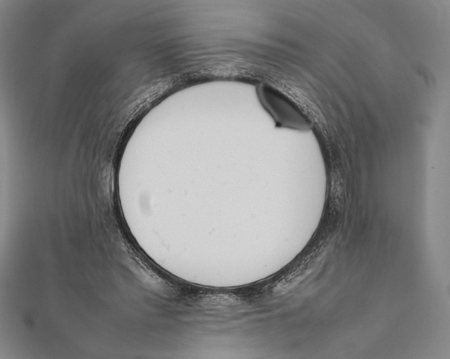 X0000111780397200908201114