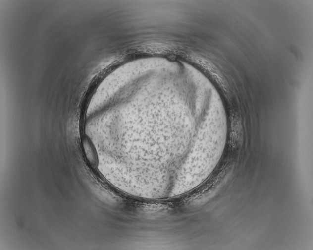 X0000111780399200908201114