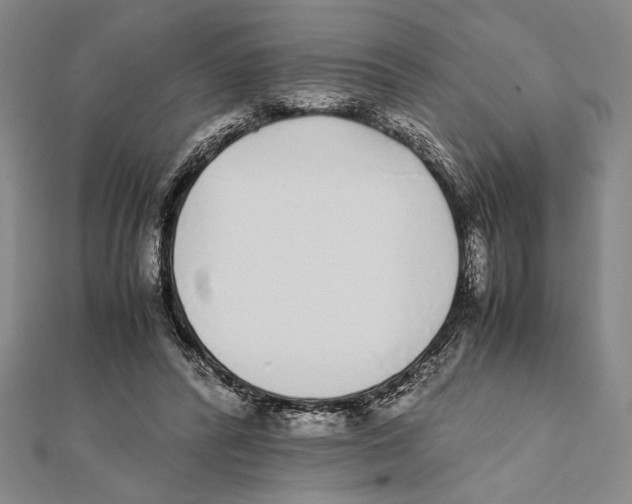 X0000111780400200908201114