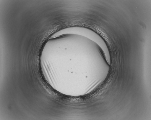X0000111780401200908201114