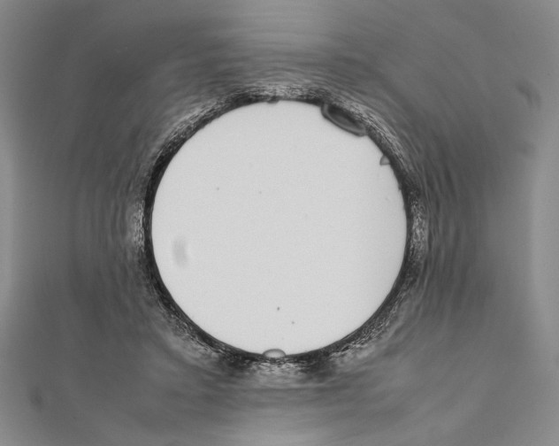 X0000111780403200908201114