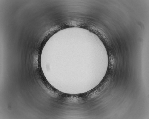 X0000111780404200908201114