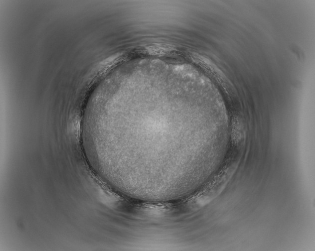 X0000111780405200908201114