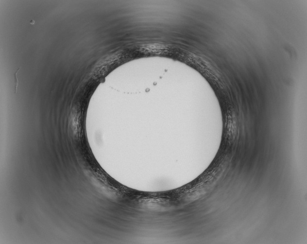 X0000111780408200908201114