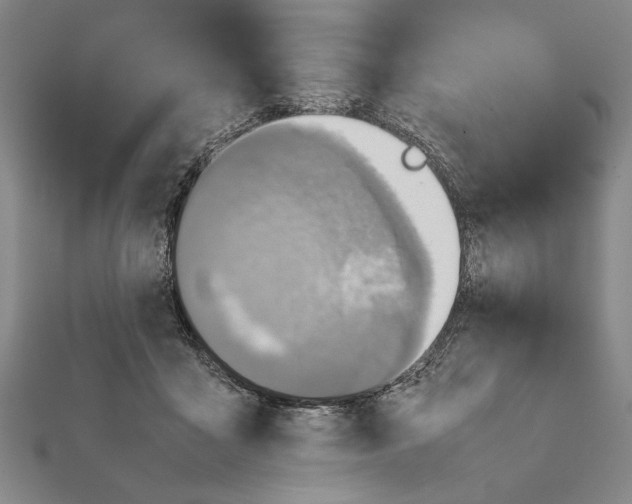 X0000111780411200908201114