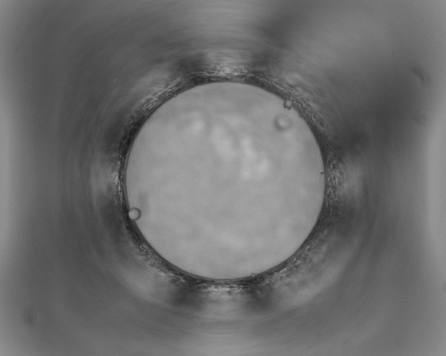 X0000111780415200908201114