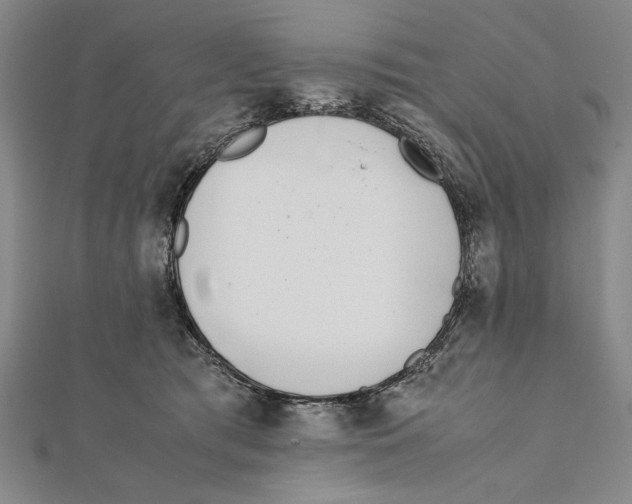 X0000111780417200908201114