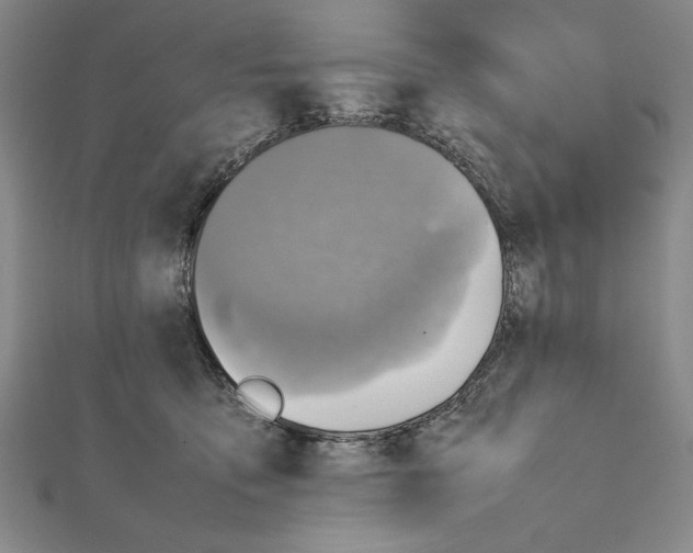 X0000111780419200908201114