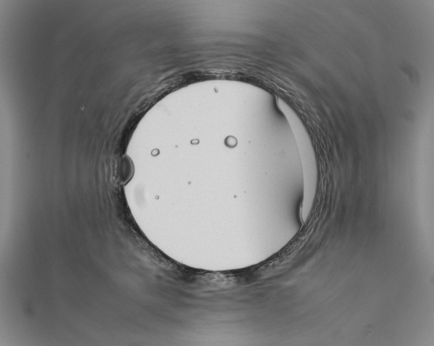 X0000111780421200908201114