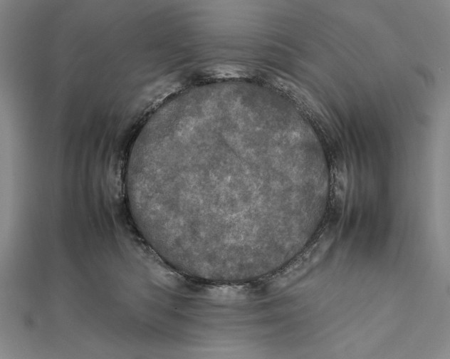 X0000111780422200908201114