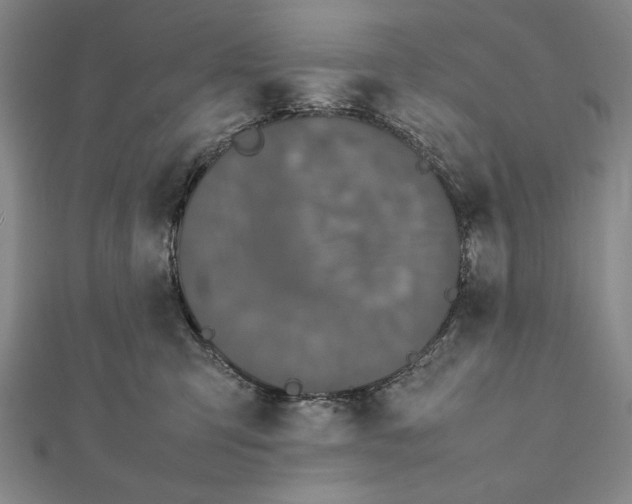 X0000111780423200908201114
