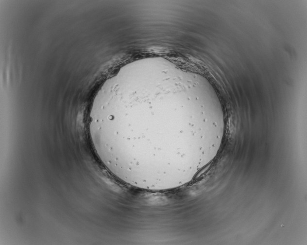 X0000111780424200908201114