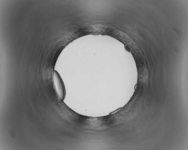 X0000111780425200908201114