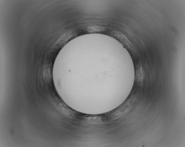 X0000111780426200908201114