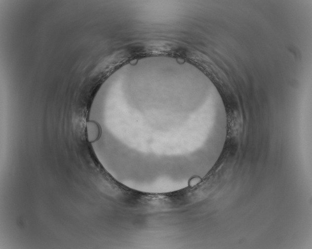 X0000111780427200908201114