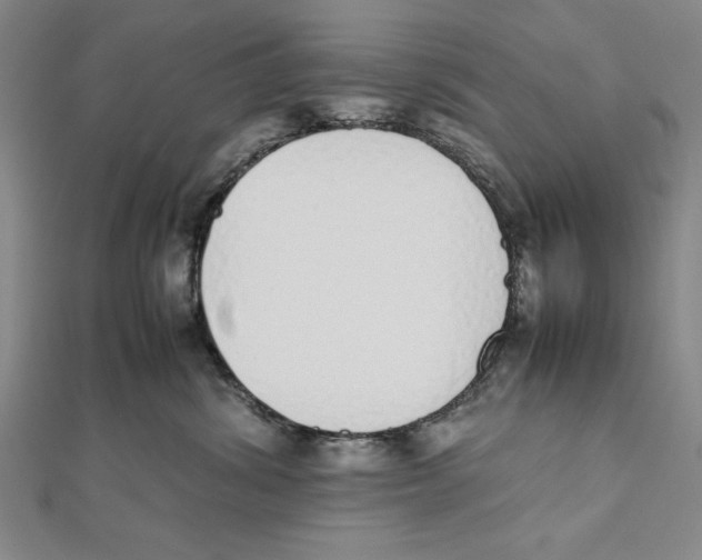 X0000111780428200908201114
