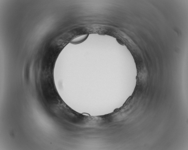X0000111780429200908201114