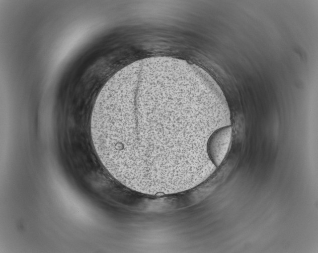 X0000111780430200908201114