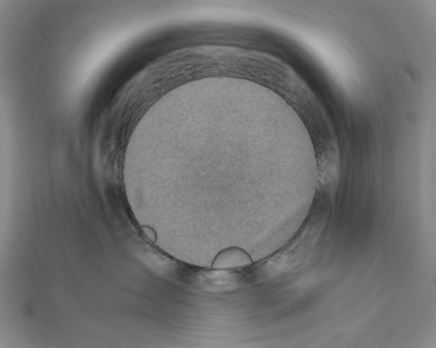 X0000111780431200908201114