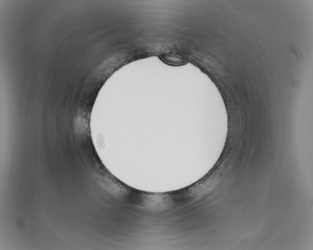 X0000111780432200908201114