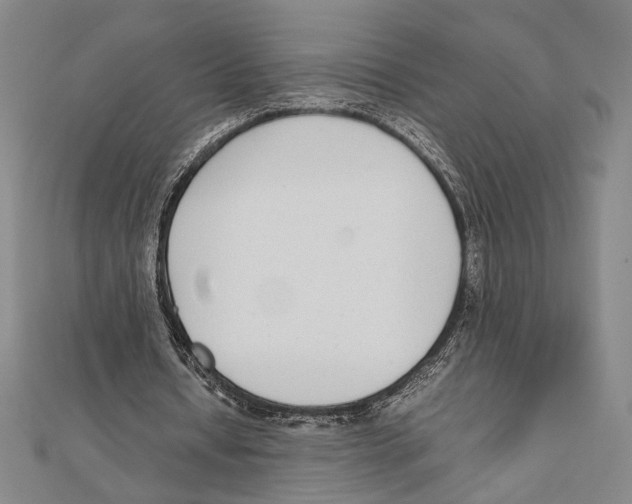 X0000111780434200908201113