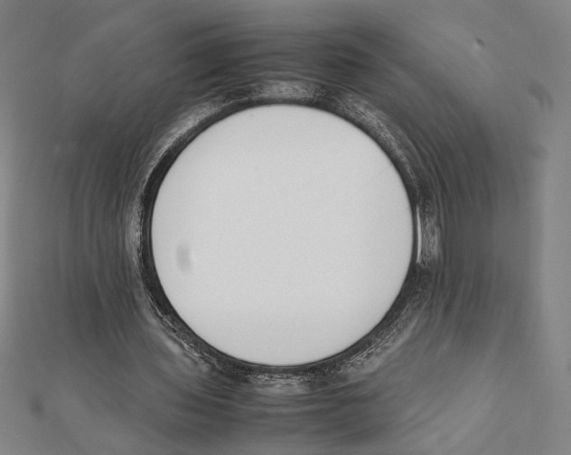 X0000111780435200908201113