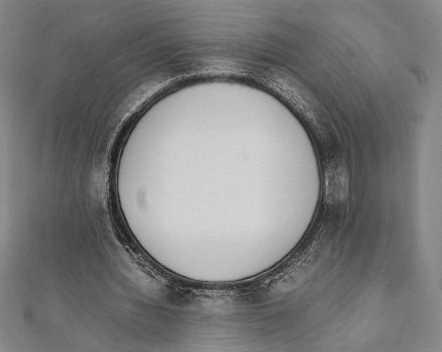X0000111780436200908201113