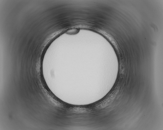 X0000111780437200908201113