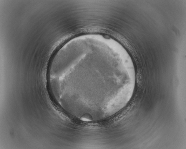 X0000111780438200908201113