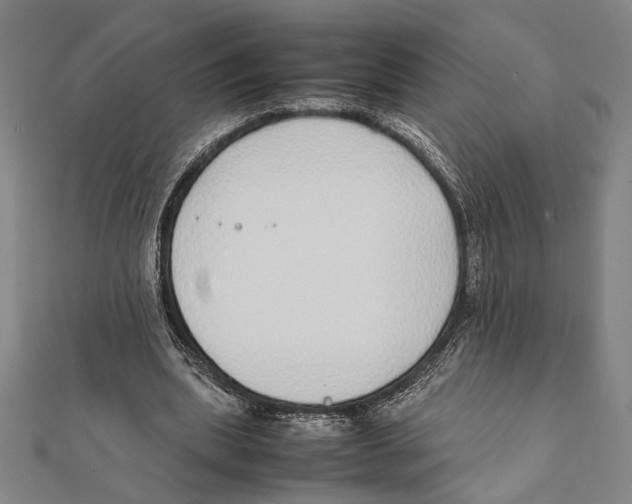 X0000111780439200908201113