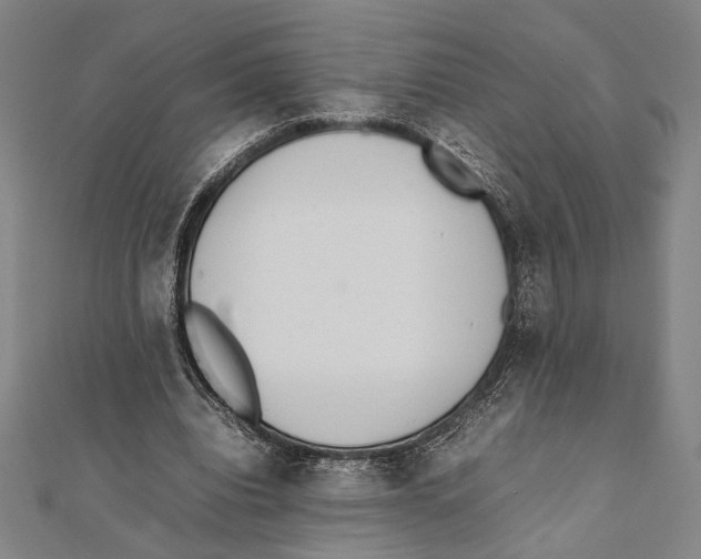 X0000111780440200908201113