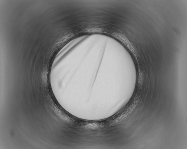 X0000111780441200908201113