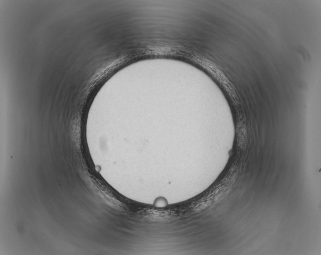 X0000111780442200908201113