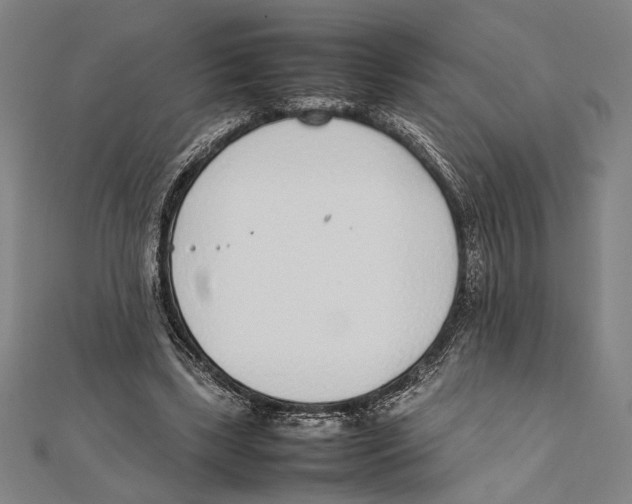 X0000111780443200908201113