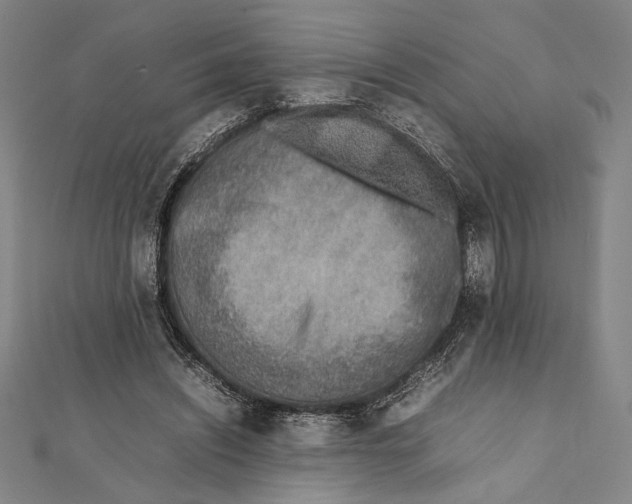 X0000111780444200908201113