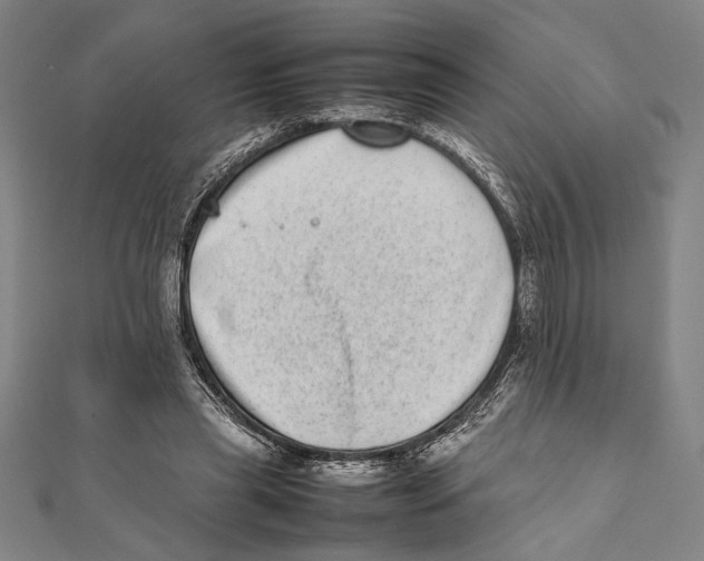 X0000111780445200908201113